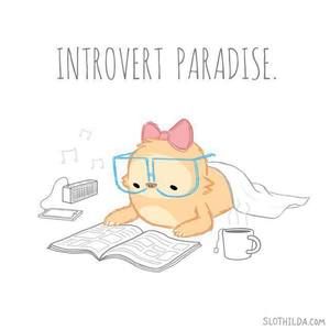 Meet your Posher, Yo